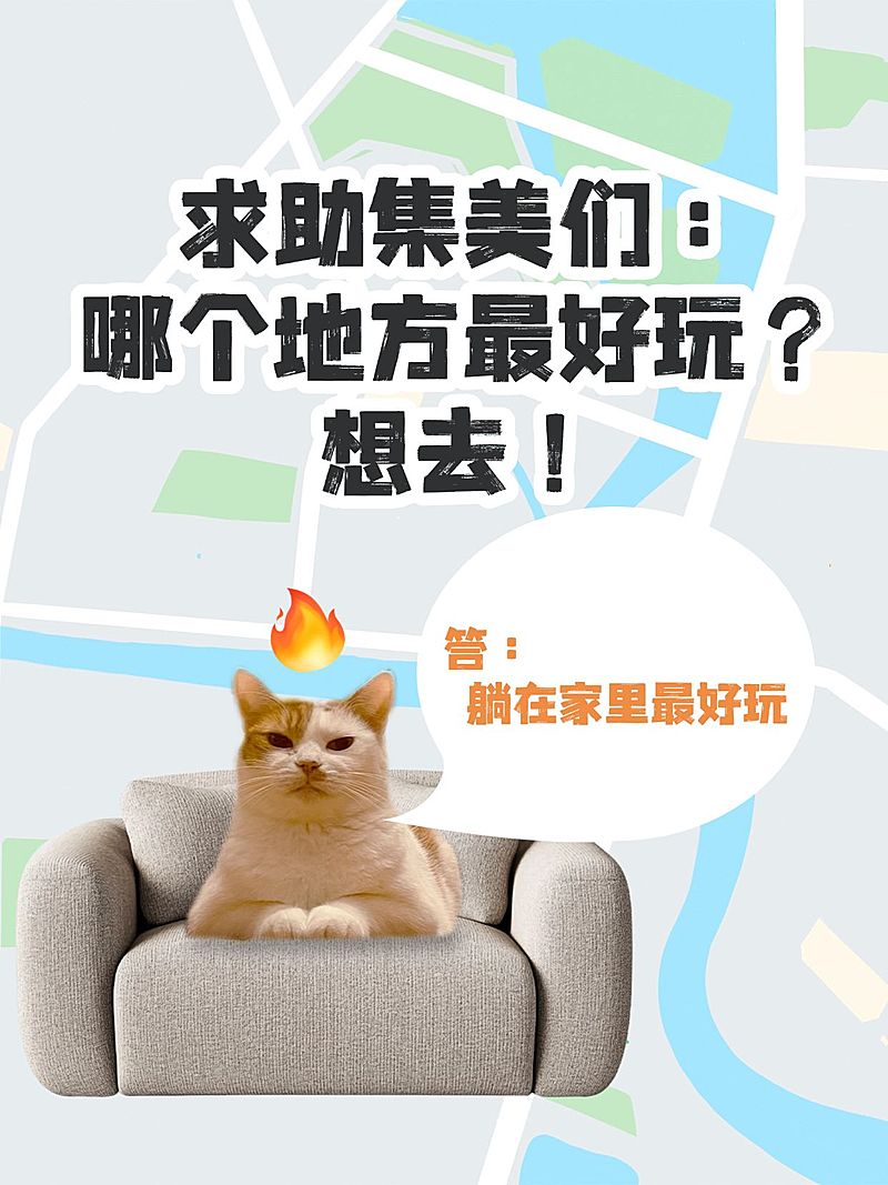 旅游趣味玩梗猫咪表情包小红书封面aigc