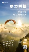 模板缩略图