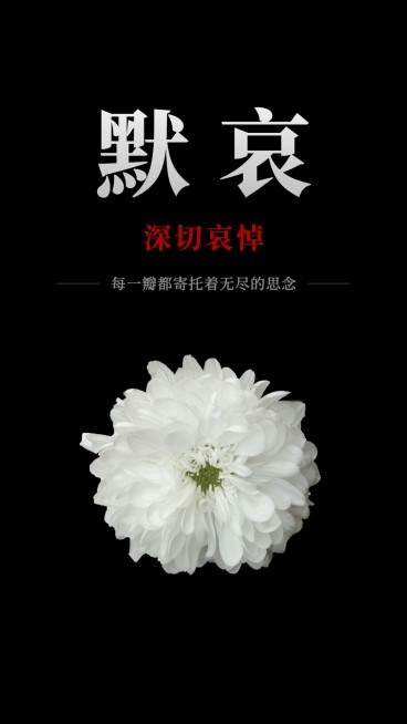 名人逝世哀悼默哀手机海报预览效果