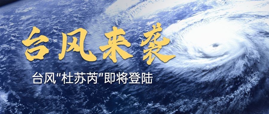 台风天新闻资讯公众号首图