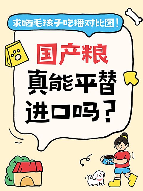 爆款大字拙气感插画文本框小红书封面