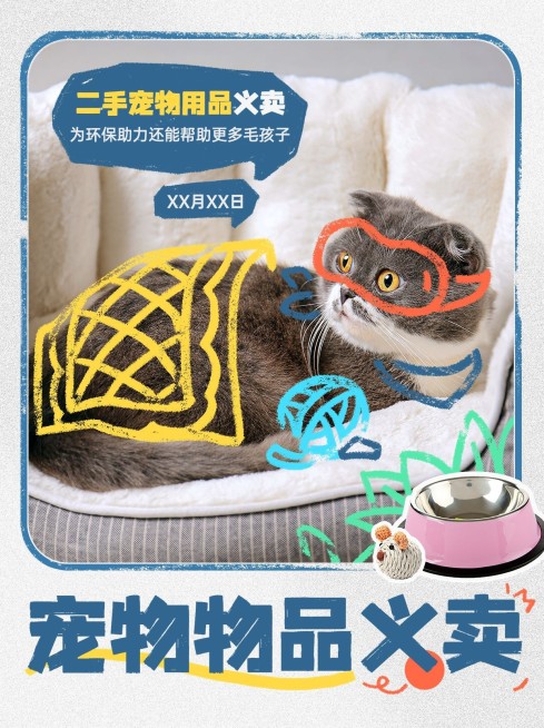 宠物活动宣传照片涂鸦风小红书封面预览效果