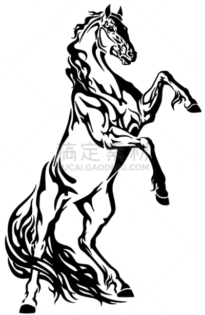 马,肖像,种马,小马,动物,力量,后腿站立,品牌名称,算命