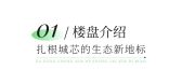模板缩略图