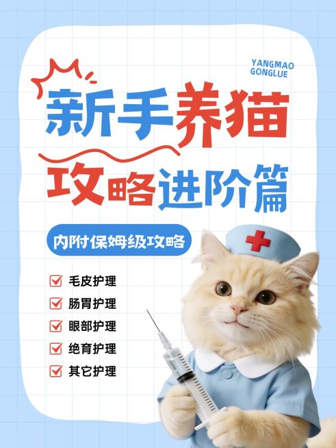 新手养猫攻略指南分享大字小红书封面预览效果