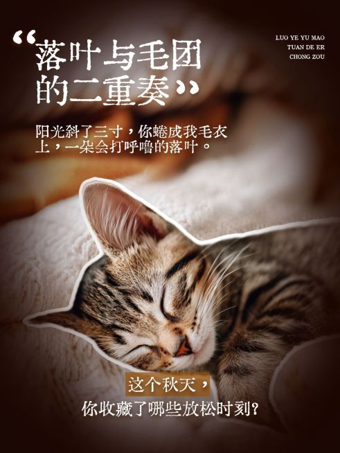 秋天氛围感情感语录分享松弛治愈实景图文排版小红书封面预览效果