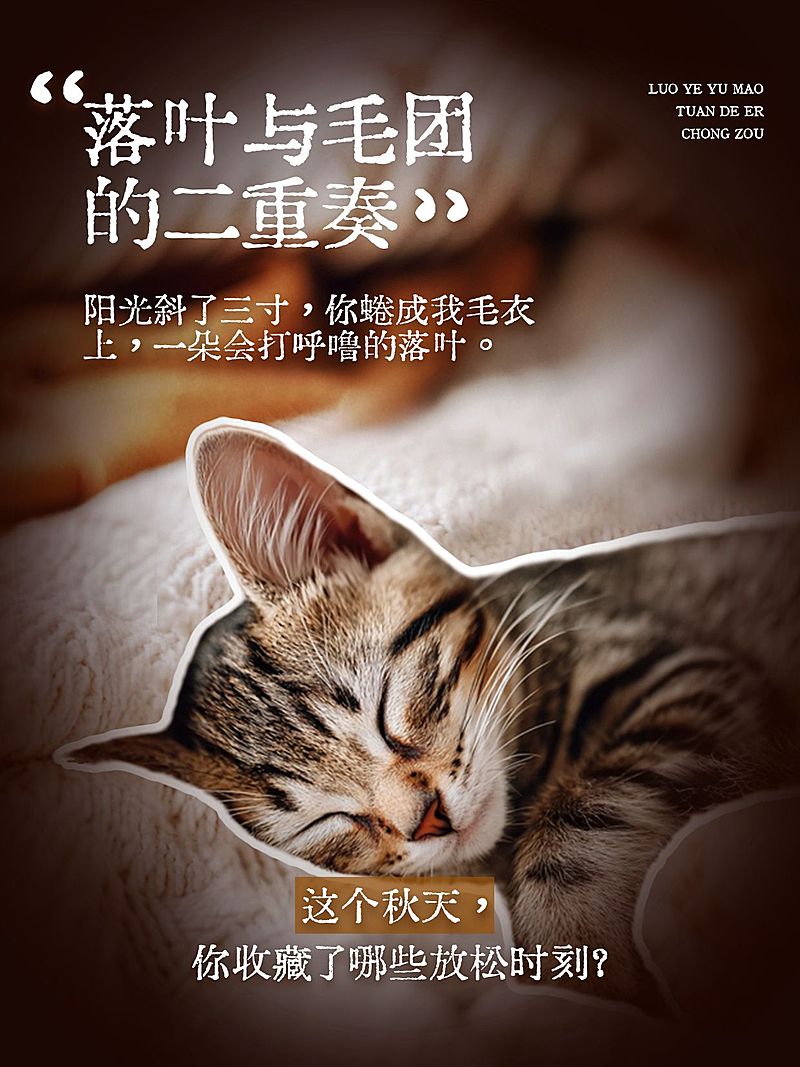 秋天氛围感情感语录分享松弛治愈实景图文排版小红书封面