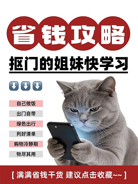 省钱攻略指南分享大字小红书封面