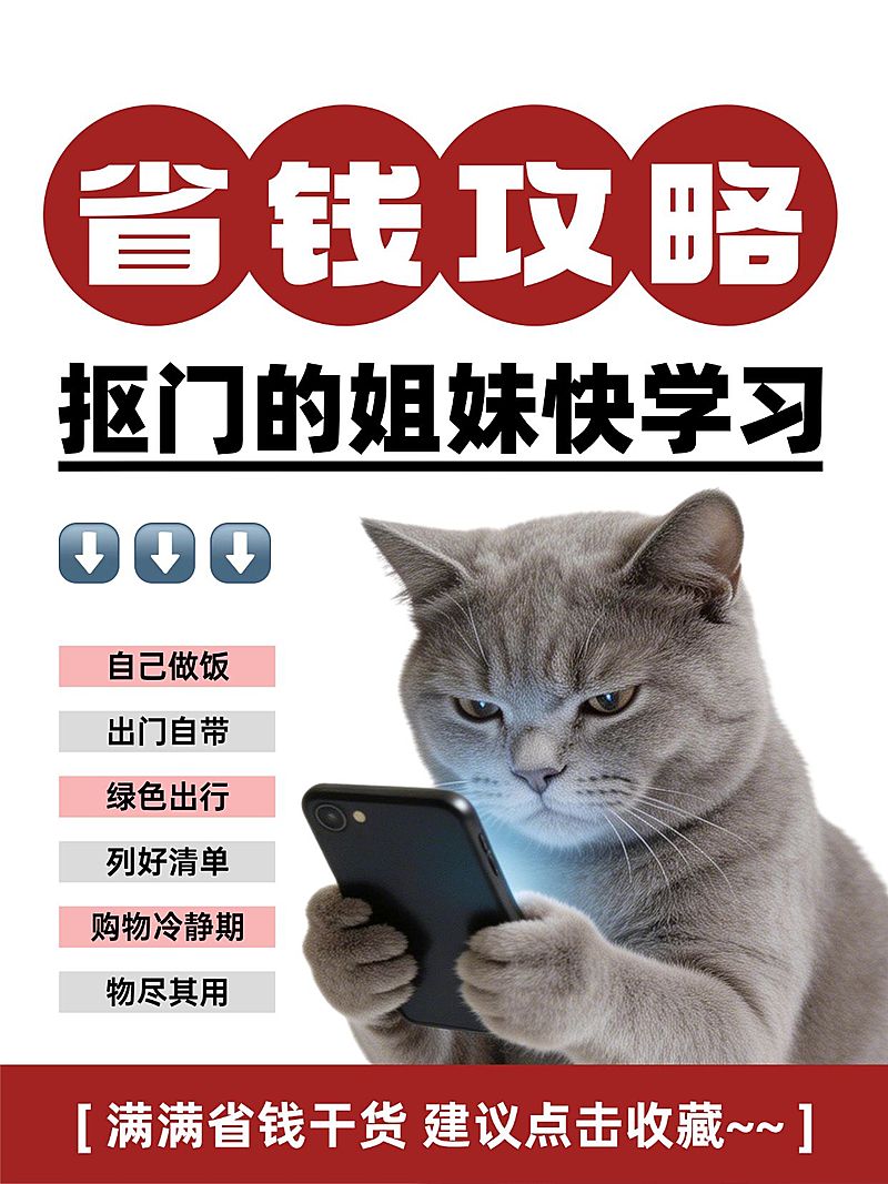 省钱攻略指南分享大字小红书封面