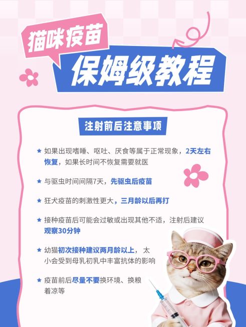 宠物猫咪疫苗保姆级护理教程meme梗图小红书配图预览效果