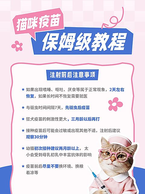 宠物猫咪疫苗保姆级护理教程meme梗图小红书配图