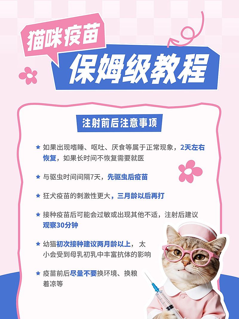 宠物猫咪疫苗保姆级护理教程meme梗图小红书配图