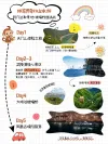小红书图文排版海报通用