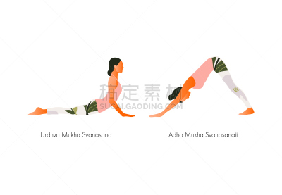 女人,瑜伽,正面视角,狗,平板支撑,运动,背景分离,有氧运动法,肖像