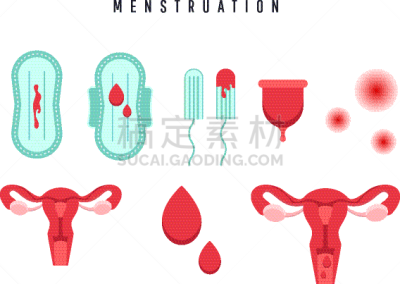 卵巢,人,有月经,女性,人类的生殖器官,子宫颈,女人,女孩