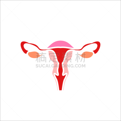 计算机图标,女性,医疗用品,商务,健康保健,孕检,医药职业,药