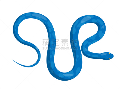 蛇,矢量,蓝色,视角,计算机图标,巨蟒,顶部,蛇皮纹,野生动物,长的