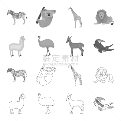 动物,美洲驼羊,羚羊,鸸鹋,鸵鸟,幼小动物,轮廓,自然,图像,收集