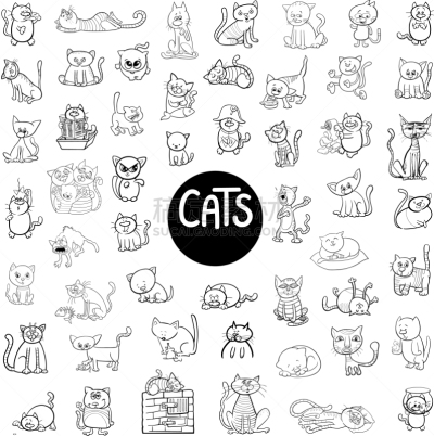 猫,巨大的,黑白图片,可爱的,白色,宠物,书,图像,布置,收集