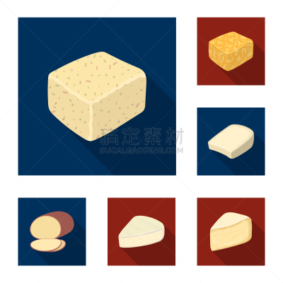 奶酪,计算机图标,平坦的,分离着色,干乳酪,食品,图像,分享,收集,烹调