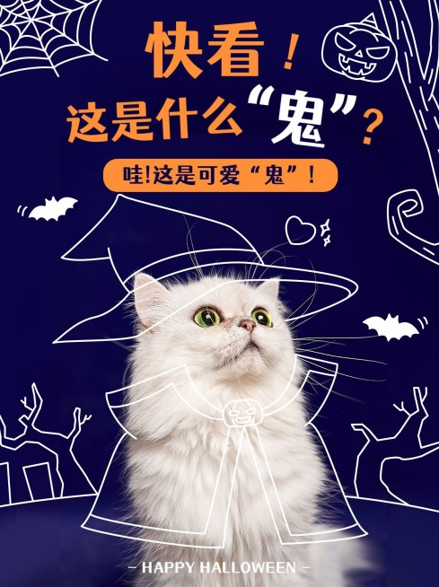 万圣节宠物晒照小红书封面预览效果