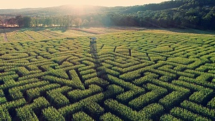 在宾夕法尼亚州波科诺斯地区的巨大万圣节玉米迷宫的空中风景全景无人机视频