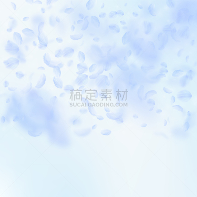 花瓣,浅蓝色,光驱,请柬,浪漫,风,樱桃,婚礼,落下,爱