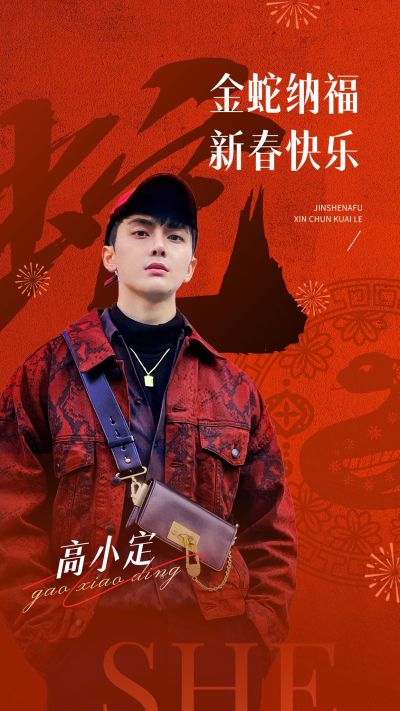 明星工作室春节祝福收集海报
