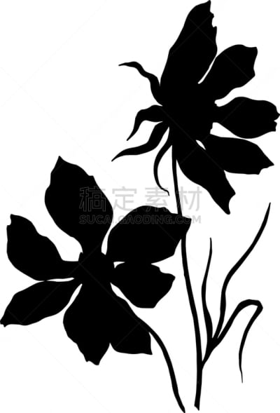 黑色,大波斯菊,植物学,壁纸,植物群,春天,乡村风格,花,剪影