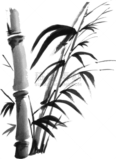 分离着色,竹,枝,水彩画,母球,华丽的,传统,植物群,植物,剪影