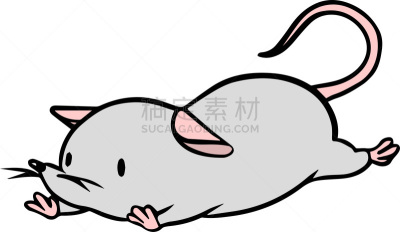矢量,鼠,绘画插图,动物研究,科学实验,十二生肖,哺乳纲,动物,实验大白鼠,问号