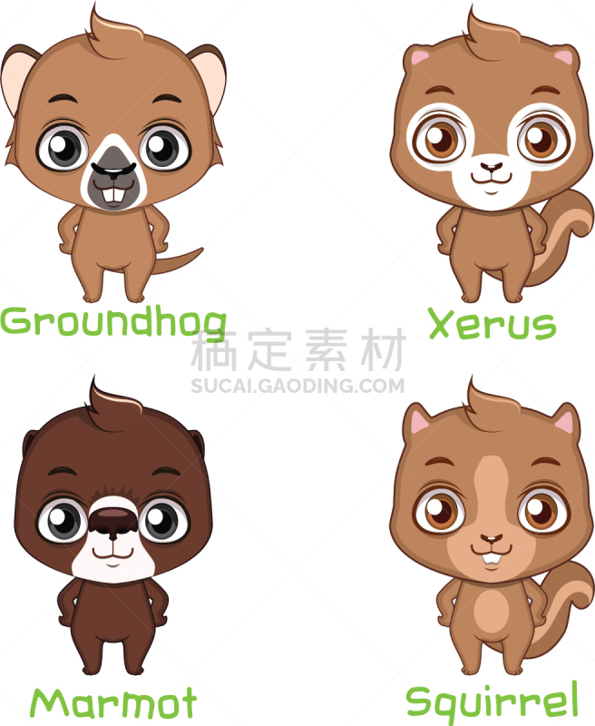 松鼠,动物,可爱的,宠物,自然,动物园,野生动物,图像,布置,设计