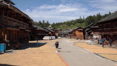 秋天，中国的道路上晒着稻谷