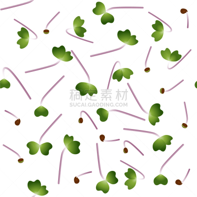 植物群,秧苗,羽衣甘蓝,种子,蔬菜,素食,清新,环境,维生素,抗炎
