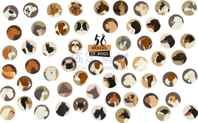 狗,圆形,分离着色,玩具,灰猎犬,巴哥犬,维希拉猎犬,巴辛吉,腊肠犬,福克斯猎狐犬