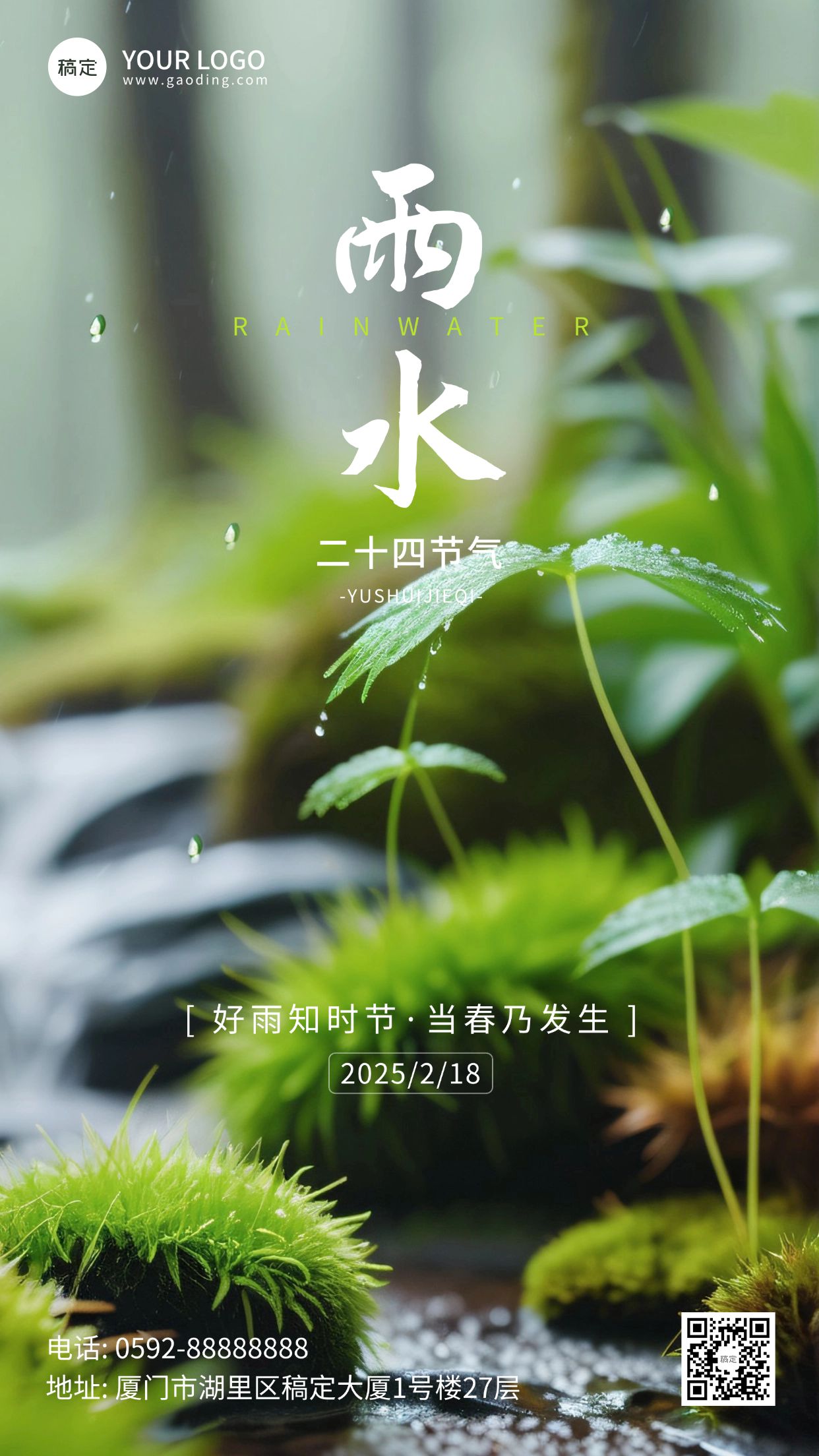 雨水节气祝福清新实景手机海报AIGC预览效果