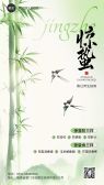 模板缩略图