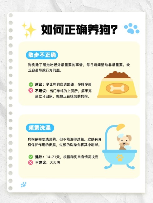 宠物狗狗知识科普套装小红书配图预览效果