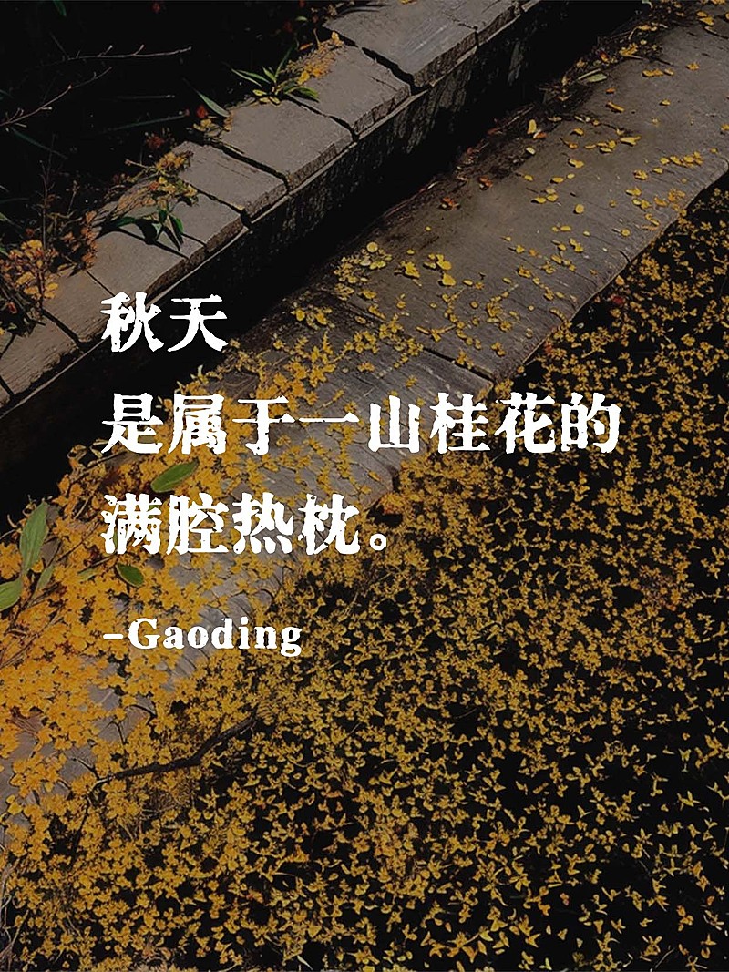 情感文案语录文艺字体小红书封面aigc