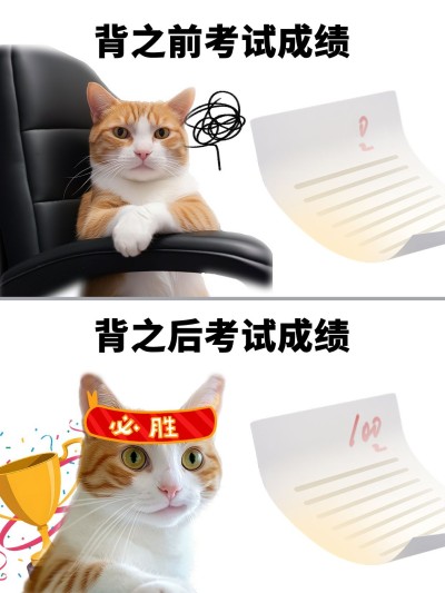 教育吸睛表情包对比梗图小红书封面aigc