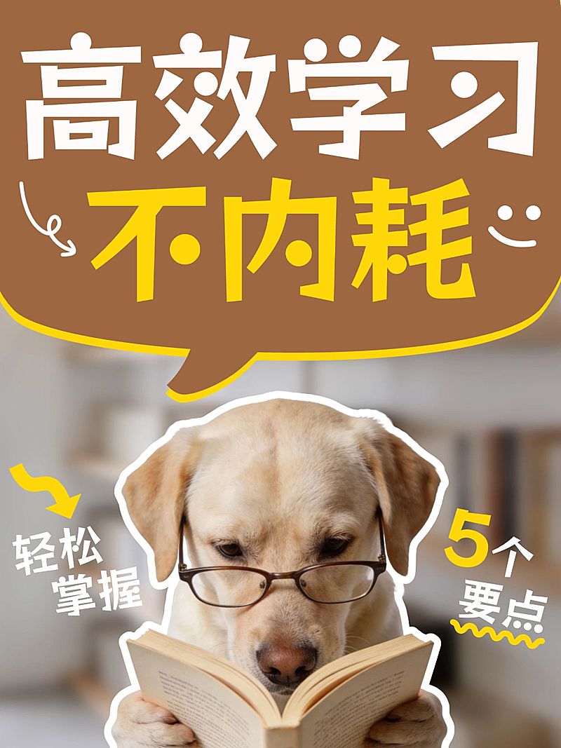 知识付费高效学习指南分享小红书封面