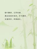 模板缩略图