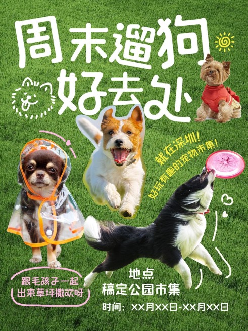 宠物活动宣传小红书封面aigc预览效果