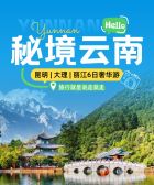 模板缩略图