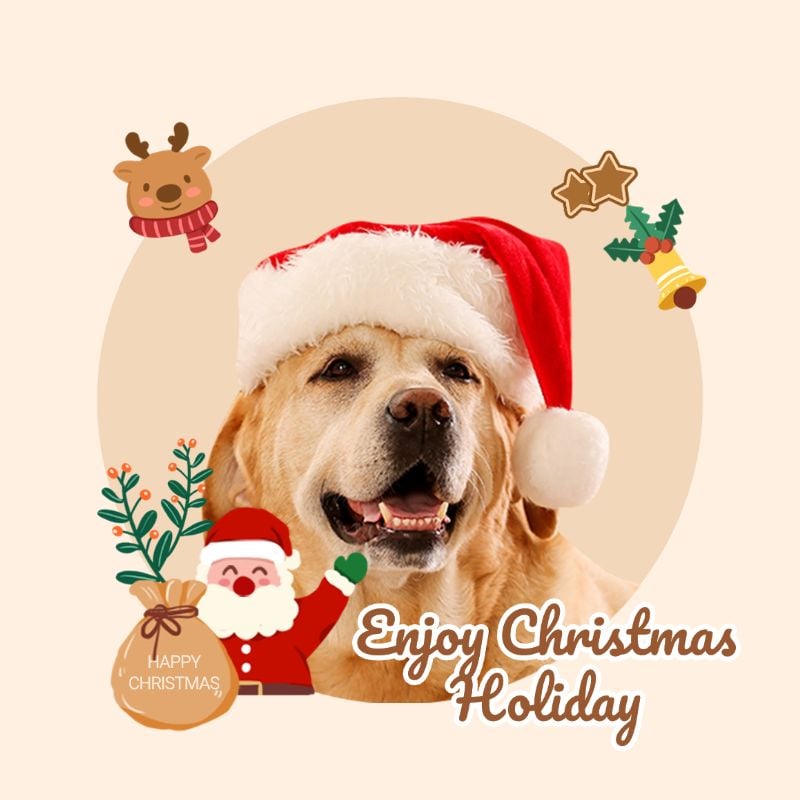 Christmas Seasonal Greetings Profile Picture Templates