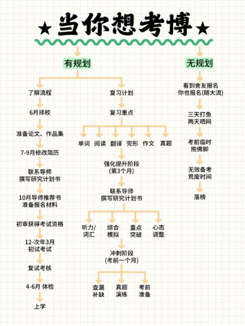 教育考博科普攻略决策树小红书配图预览效果