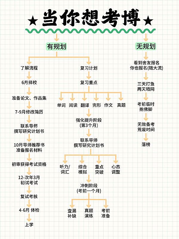 教育考博科普攻略决策树小红书配图