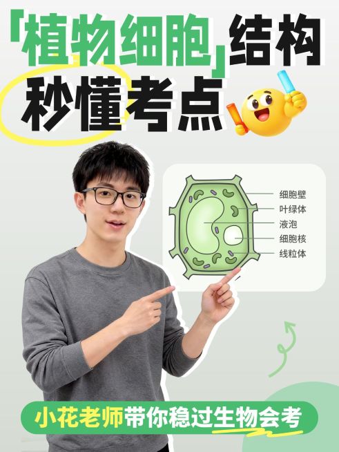 教育培训K12教育初中生物知识点讲解人像小红书封面预览效果