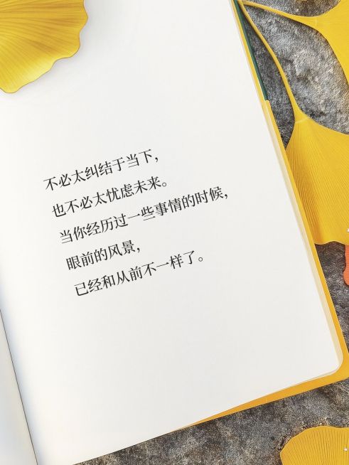 情感文案分享书单式秋天氛围感小红书封面预览效果