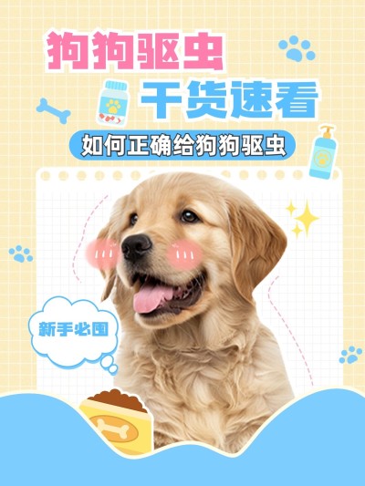 宠物狗狗知识科普套装小红书封面aigc